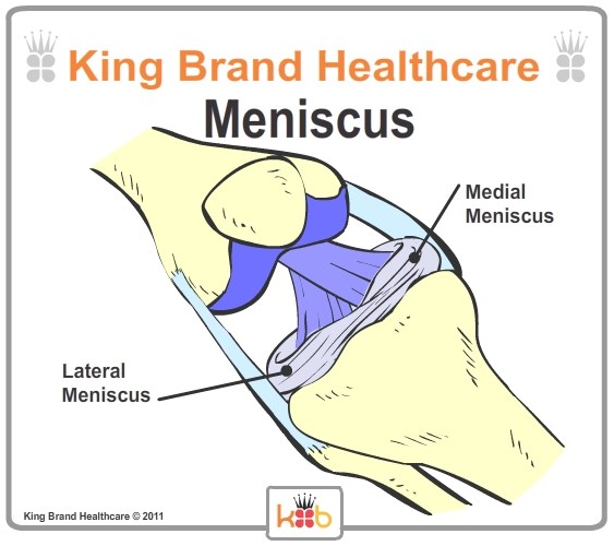 King Brand Diagram of the Meniscus Knee Injury Coldcure BFST Wraps