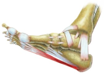Foot Injury Treatment