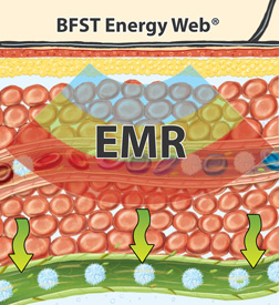 King Brand® BFST® Energy Web® EMR Heating Blood Flow Stimulation Therapy Diagram